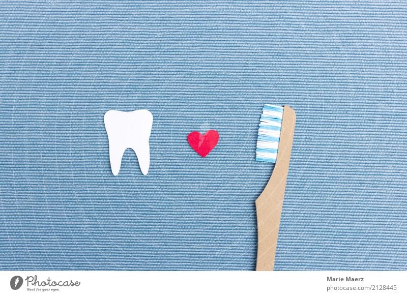 Zähne putzen Körperpflege Zahnbürste Reinigen frisch glänzend Glück schön blau weiß Tugend diszipliniert Gesundheit Zahnpflege dental Zahnarzt Farbfoto
