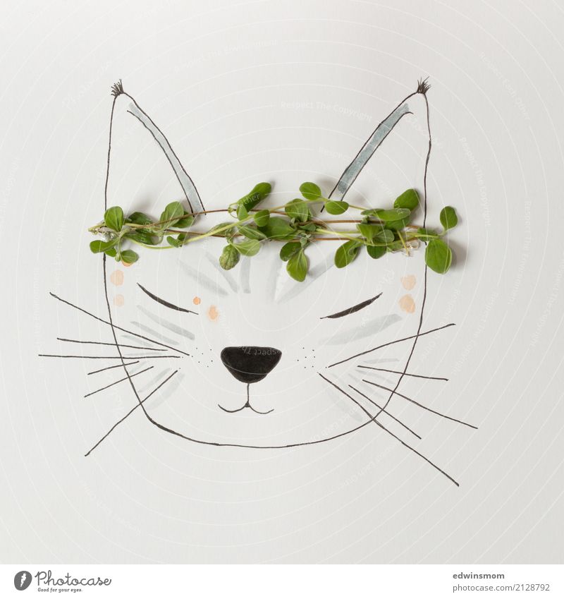 Miau Freizeit & Hobby Basteln zeichnen Natur Pflanze Sommer Kräuter & Gewürze Accessoire Tier Haustier Katze Papier Dekoration & Verzierung schlafen träumen