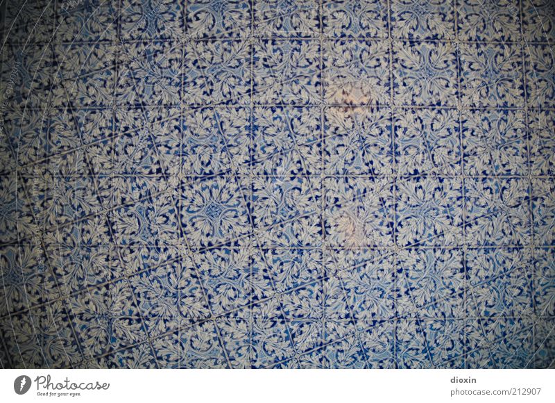 Azulejo Kunst Lissabon Mauer Wand Fassade Fliesen u. Kacheln glänzend kalt blau weiß Glätte Mosaik Dekoration & Verzierung Blumenmuster Fuge ornamental Farbfoto