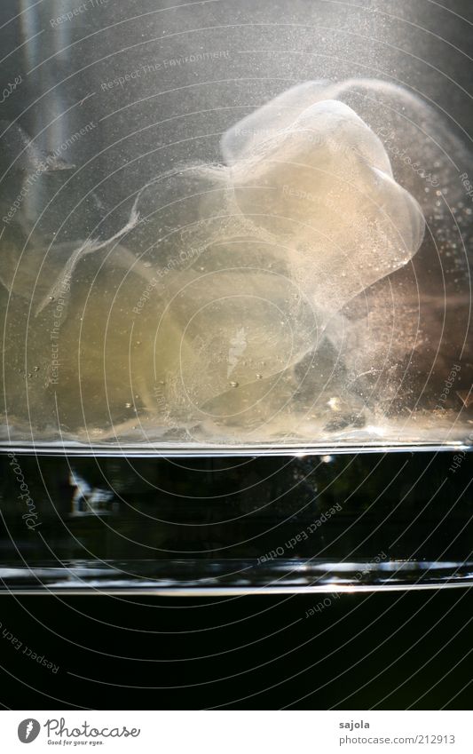 aufgeblasener kerl Lebensmittel Süßwaren Wasser Glas liegen Ekel schleimig Gummibärchen Wasserglas durchsichtig Pastellton Verfall Farbfoto Außenaufnahme