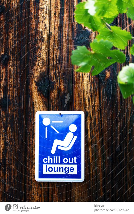 Chill out lounge. Hinweisschild an einer Bretterwand chillen chillout chillout-lounge Wohlgefühl Erholung entspannung genießen entspannen ruhig Sommer