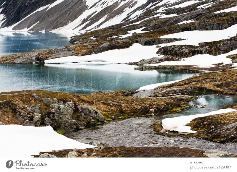 Norwegische Gletscherlandschaft Ferien & Urlaub & Reisen Abenteuer Berge u. Gebirge wandern Natur Felsen Schneebedeckte Gipfel kalt Nationalpark