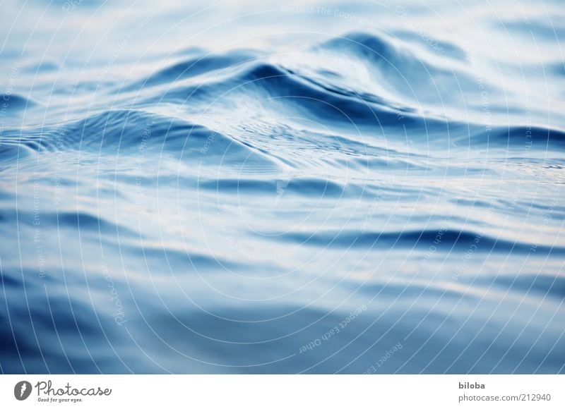Wasserwelt Sommer Wellen See frisch Unendlichkeit kalt nass blau Lebensraum Erholung Strukturen & Formen Hintergrundbild abstrakt Reflexion & Spiegelung
