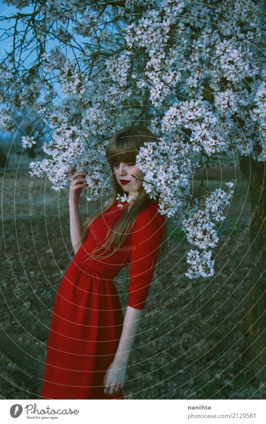 Junge Frau, die mit vielen weißen Blumen aufwirft elegant Mensch feminin Jugendliche 1 18-30 Jahre Erwachsene Kunst Umwelt Natur Erde Frühling Baum Kleid blond