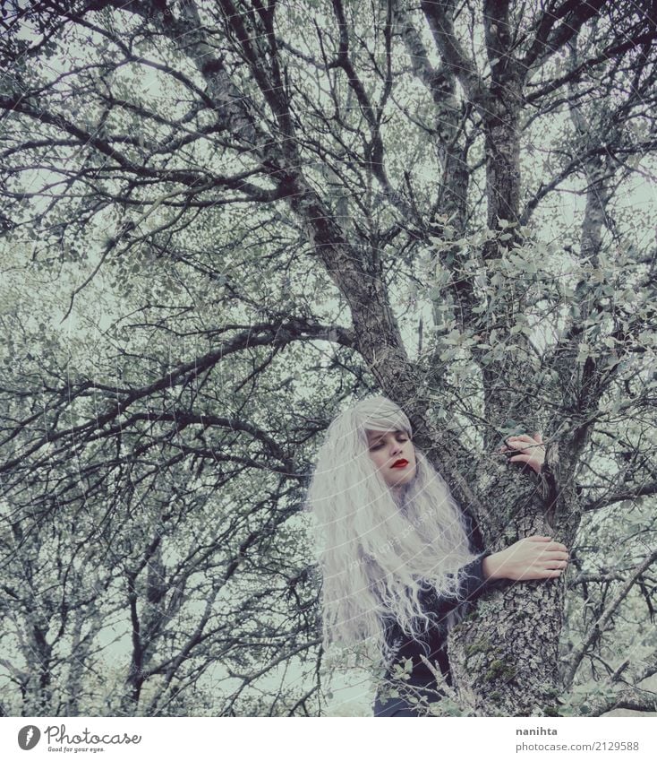 Junge Frau mit dem weißen Haar umarmt einen Baum Mensch feminin Jugendliche 1 18-30 Jahre Erwachsene Umwelt Natur Herbst Winter Wald weißhaarig Perücke träumen