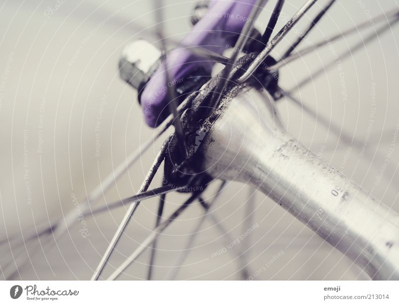 Speiche Fahrrad Metall Metallstange Schmierstoff grau violett Speichen Farbfoto Detailaufnahme Makroaufnahme Hintergrund neutral Schwache Tiefenschärfe Achse