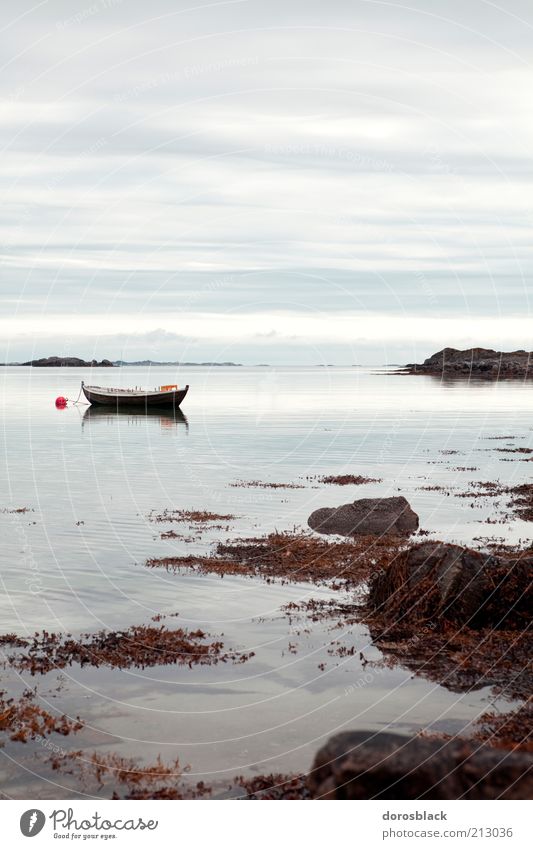 norwegen Natur Landschaft Wasser Wolken Sommer Küste Bucht Fjord Erholung Ferien & Urlaub & Reisen Farbfoto Gedeckte Farben Außenaufnahme Menschenleer