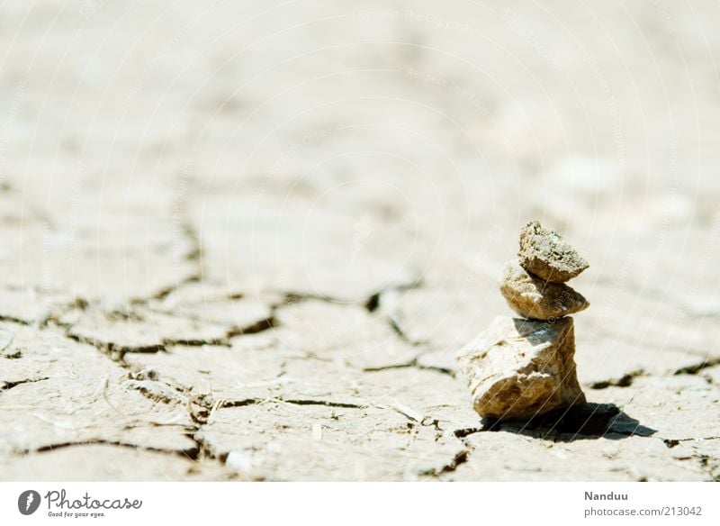 Wüst Landschaft Sommer Klimawandel Wüste trist trocken Riss Dürre Stein Steinhaufen Einsamkeit Nahaufnahme Hintergrund neutral vertrocknet getrocknet