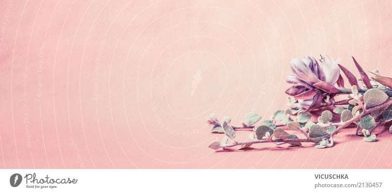 Hübsche Blumen auf rosa Hintergrund Lifestyle Stil Design Sommer Dekoration & Verzierung Feste & Feiern Valentinstag Muttertag Hochzeit Geburtstag Natur Pflanze
