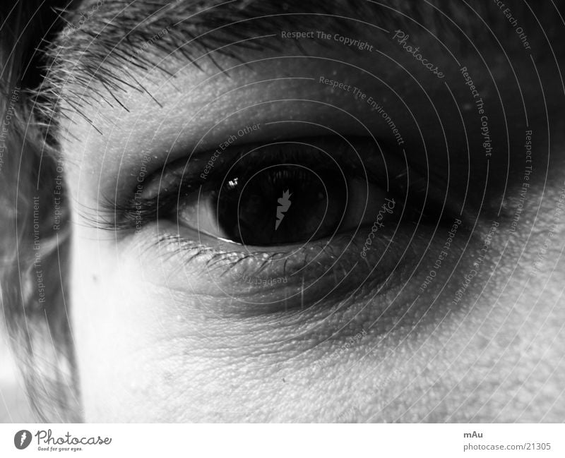 Das Auge Reflexion & Spiegelung Pupille Wimpern Mann Blick Nahaufnahme Schwarzweißfoto