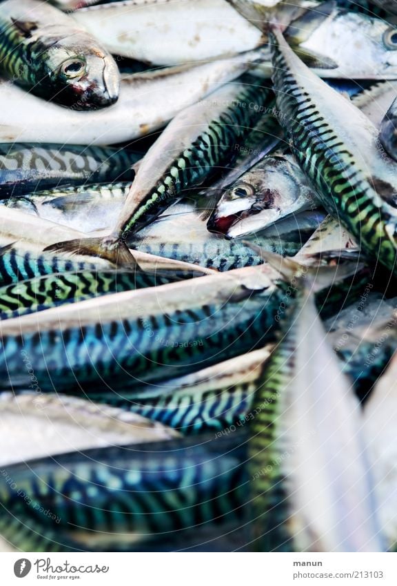 fischig Lebensmittel Fisch Meeresfrüchte Ernährung Bioprodukte Handel Natur Tier Nutztier Totes Tier Makrele Tiergruppe frisch glänzend lecker natürlich