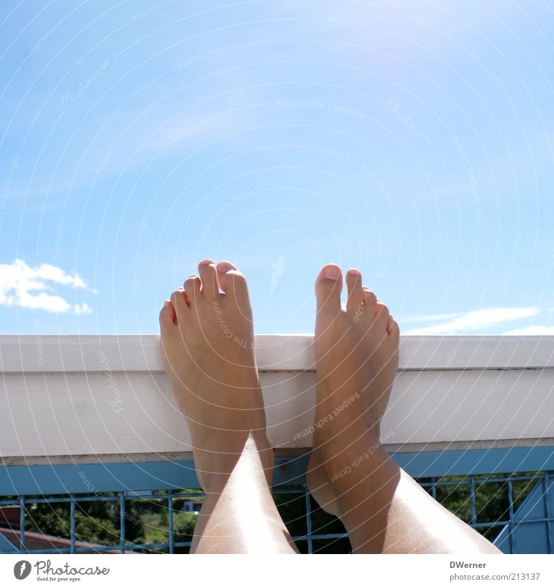 Die schönsten Füße der Welt! Lifestyle Freude Pediküre Ferien & Urlaub & Reisen Sonne Sonnenbad Junge Frau Jugendliche Beine Fuß Natur Himmel Schönes Wetter