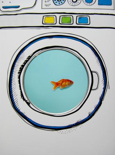 Gleich geht's rund! Tier Fisch Goldfisch 1 Waschmaschine blau weiß bizarr skurril Überleben Tierhaltung Aquarium Bullauge Schleudergang Schonwaschgang