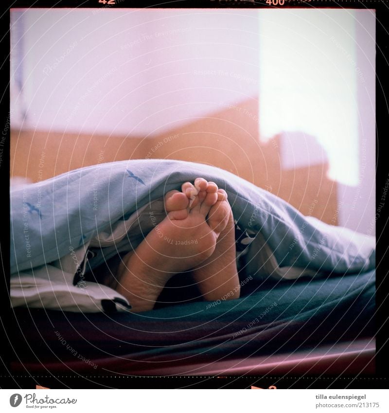 Bettgeschichte Erholung ruhig maskulin Fuß 1 Mensch liegen schlafen natürlich Zufriedenheit ausruhend Bettdecke Zehen Fußsohle Farbfoto Textfreiraum oben Morgen