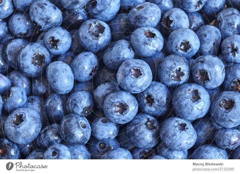 frische Blaubeeren Frucht Ernährung Essen Bioprodukte Vegetarische Ernährung Diät Sommer Natur saftig blau Gesundheit Lebensmittel Beeren organisch reif roh