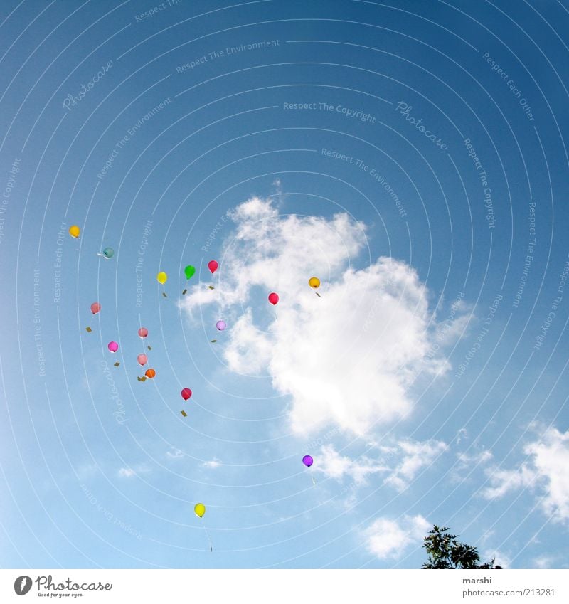 Träume & Wünsche Feste & Feiern blau mehrfarbig Luftballon Wolken Himmel Ferne träumen Wunsch Glückwünsche hoch fliegen fliegend Anlass Farbfoto Außenaufnahme