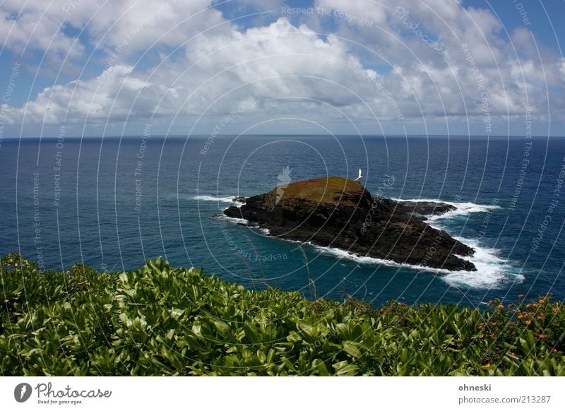 Moku´ae´ae Umwelt Natur Landschaft Urelemente Luft Wasser Himmel Wolken Felsen Küste Meer Pazifik Insel Kauai Unendlichkeit wild blau Einsamkeit Ferne Brandung