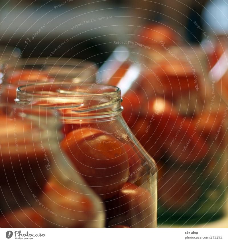 Tomaten im Glas Lebensmittel Gemüse Ernährung Einmachglas Tomatenglas genießen lecker grün rot Delikatesse konservieren einmachen einlegen Haltbarkeit