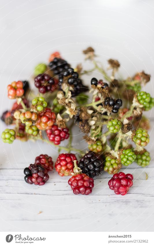 Brombeeren Natur Frucht rot grün reif Gesunde Ernährung Speise Essen Foodfotografie Innenaufnahme Detailaufnahme Nahaufnahme Gesundheit Lebensmittel ansammeln