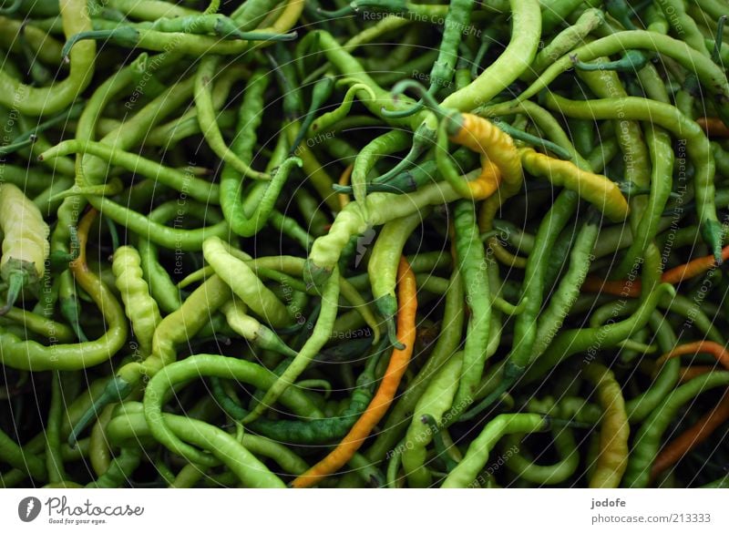 Peperoni Lebensmittel Gemüse Kräuter & Gewürze mehrfarbig grün Scharfer Geschmack Vegetarische Ernährung durcheinander viele Strukturen & Formen gekrümmt