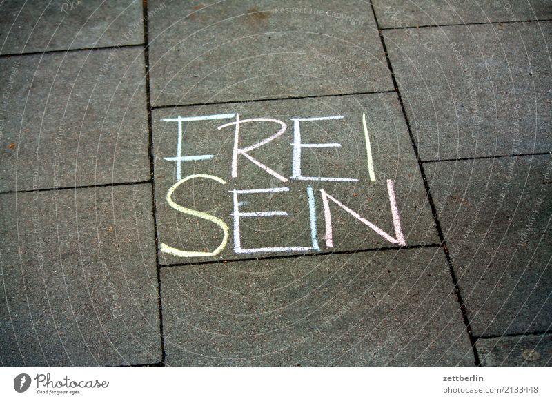 FREI SEIN frei Freiheit Selbstständigkeit Kreide Schriftzeichen schreiben Aufschrift Aussage Mitteilung fordern Gesetze und Verordnungen Motivation Bürgersteig