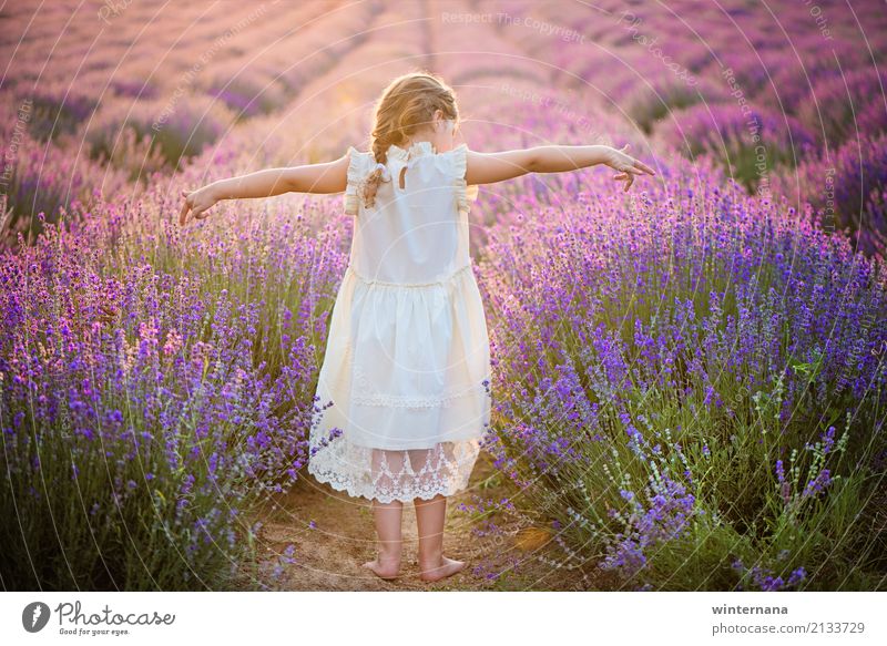 Diese Freiheit Kind Mädchen Haare & Frisuren 1 Mensch 3-8 Jahre Kindheit Umwelt Natur Erde Sonnenlicht Sommer Schönes Wetter Feld Kleid blond Glück schön
