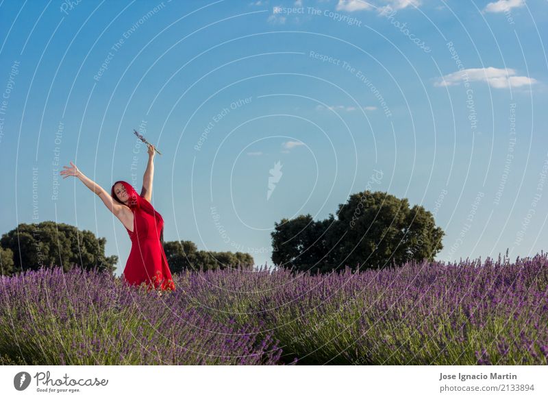 Frau auf den Lavendelfeldern Glück schön Erholung Sommer Erwachsene Natur Landschaft Pflanze Blume niedlich aromatisch Beautyfotografie Überstrahlung farbenfroh