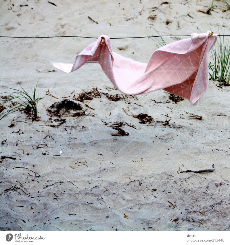 damenloses Textil Strand Sand Wind Gras rosa Handtuch Draht aufhängen flattern trocknen wehen vergessen Wäscheklammern Außenaufnahme Stranddüne Dünengras