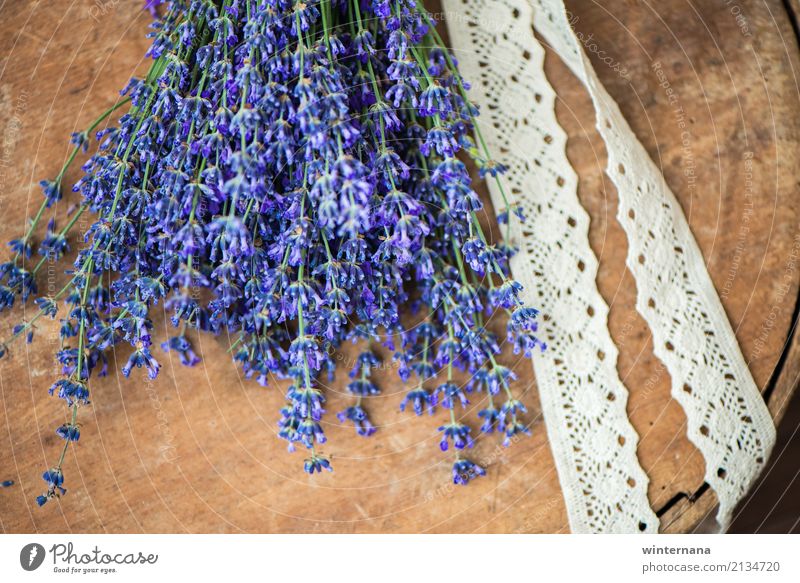 Geschenk von der Natur Gesundheitswesen Lavendel authentisch einfach frisch gut einzigartig natürlich Hoffnung purpur beige braun Farbfoto Innenaufnahme