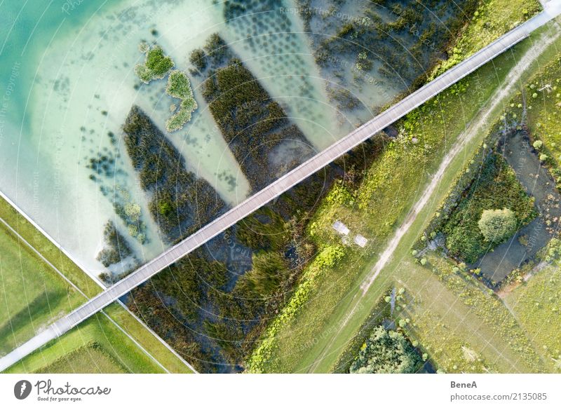 Brücke über einen See mit Uferbewuchs aus der Luft Design Umwelt Natur Landschaft Pflanze Wasser Gras Sträucher Grünpflanze Park Wellen Küste Seeufer Strand