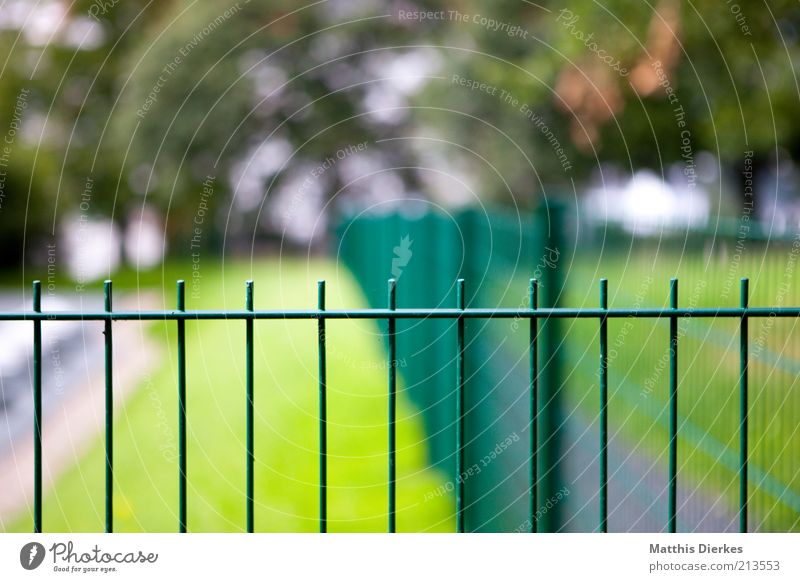 Zaun Zaunpfahl Fluchtpunkt Natur Barriere Gitter Eisen massiv Farbfoto Außenaufnahme Menschenleer Textfreiraum oben grün Unschärfe Wiese Baum