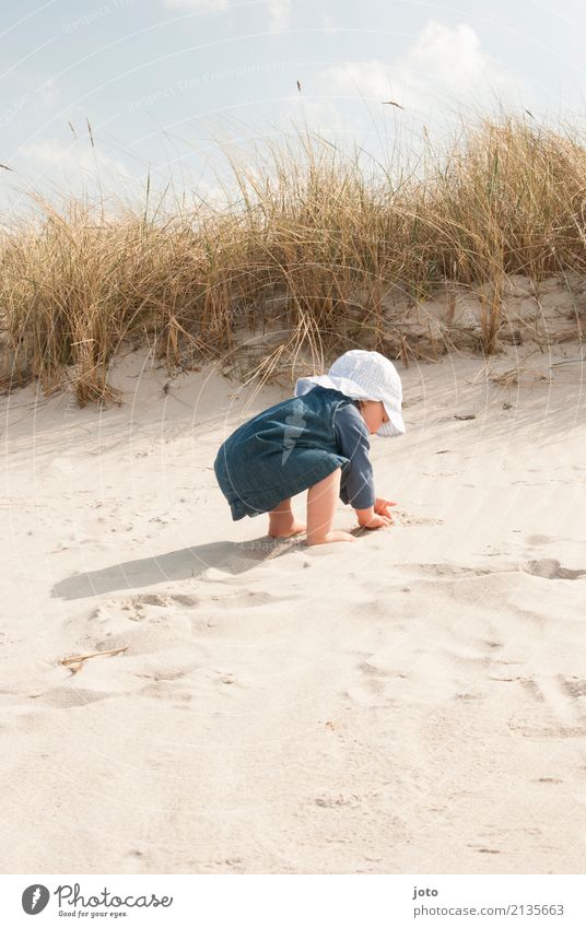 Sandzeit Ferien & Urlaub & Reisen Ausflug Sommerurlaub feminin Kleinkind 1-3 Jahre Strand Stranddüne Kleid Sonnenhut entdecken hocken Spielen niedlich