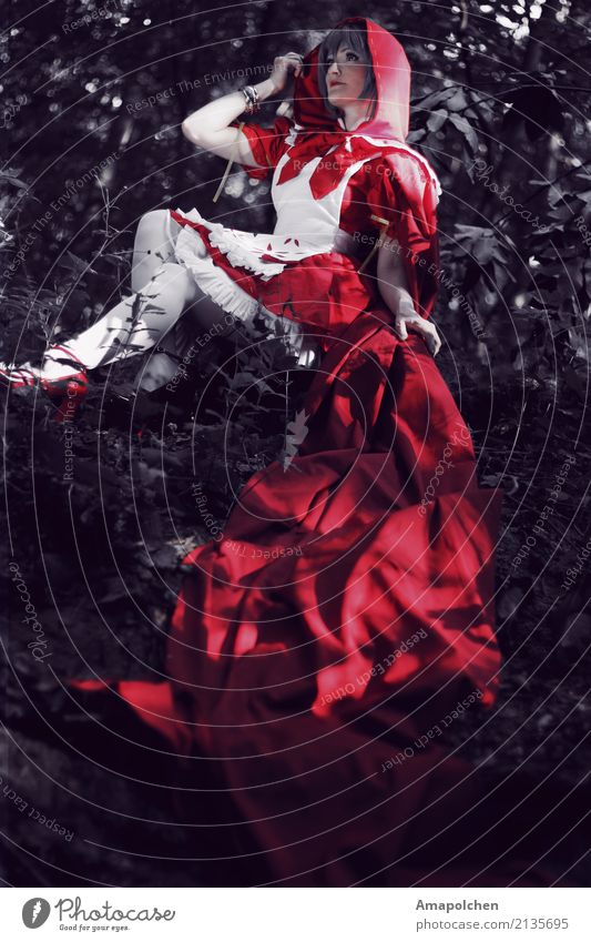 ::17-41:: Mensch feminin Mädchen Junge Frau Jugendliche ästhetisch Energie Erfolg Rotkäppchen rot Märchen Kleid Mode verkleiden Karneval Karnevalskostüm