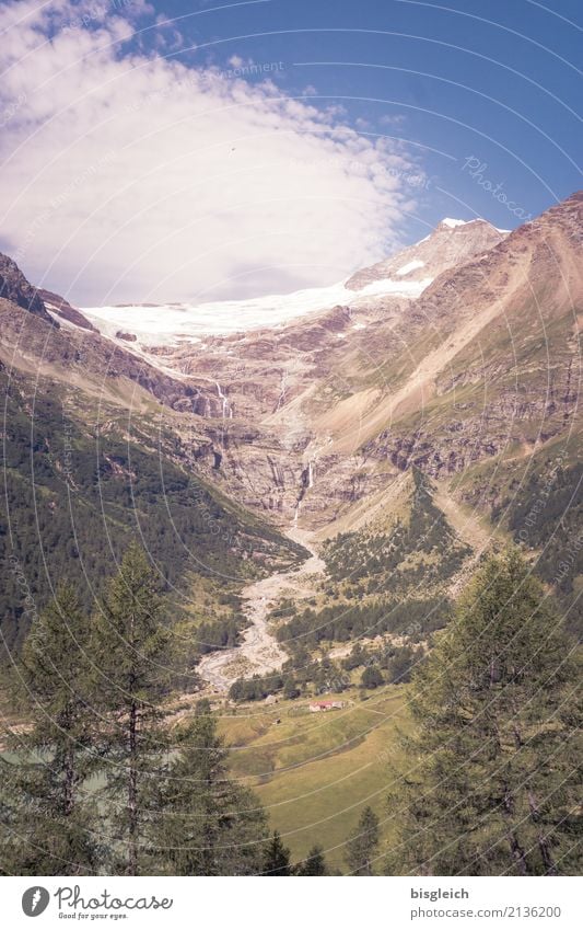 Palügletscher Bergsteigen wandern Klettern Umwelt Natur Landschaft Schnee Alpen Berge u. Gebirge Gletscher Schweiz Europa blau braun grün Ferne Klimawandel