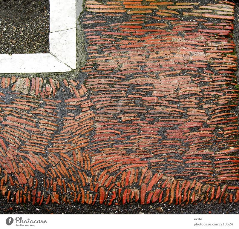 Pompeiitiles Ruine Wahrzeichen historisch kalt nass grau rot weiß nachhaltig Zerstörung Fliesen u. Kacheln Handwerkskunst Etage Ecke Farbfoto Gedeckte Farben
