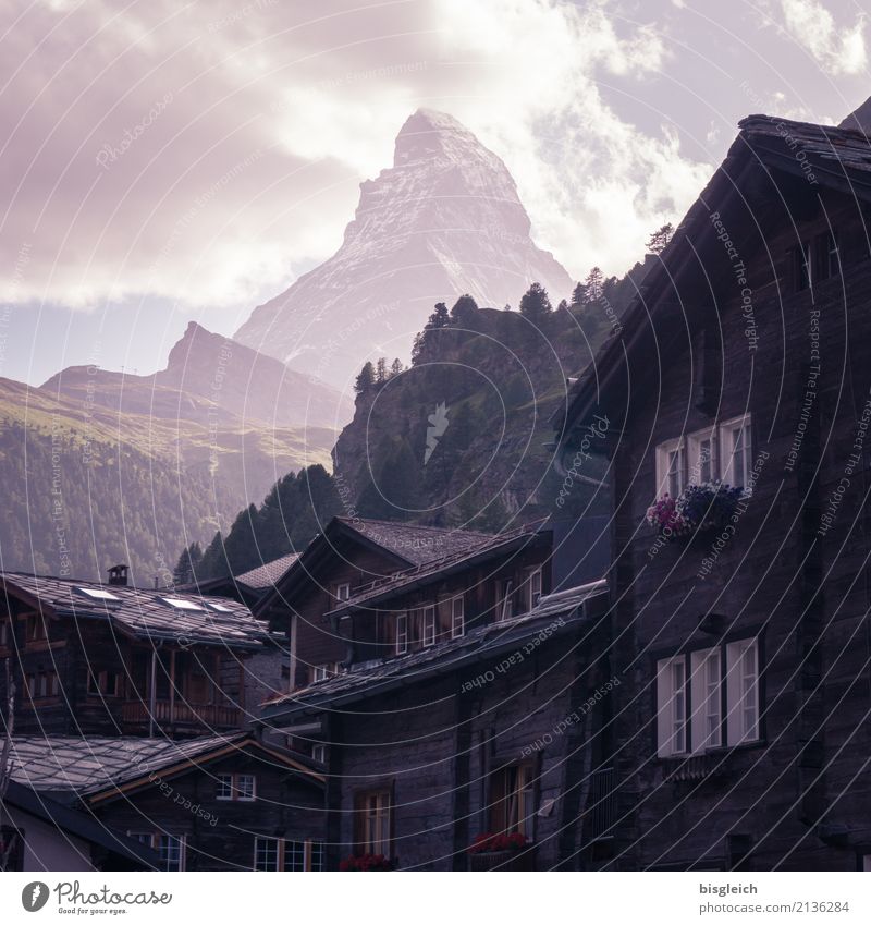 Matterhorn I Bergsteigen Klettern Alpen Berge u. Gebirge Gipfel Zermatt Schweiz Europa Dorf braun grün selbstbewußt Erfolg Mut Tatkraft Farbfoto Gedeckte Farben