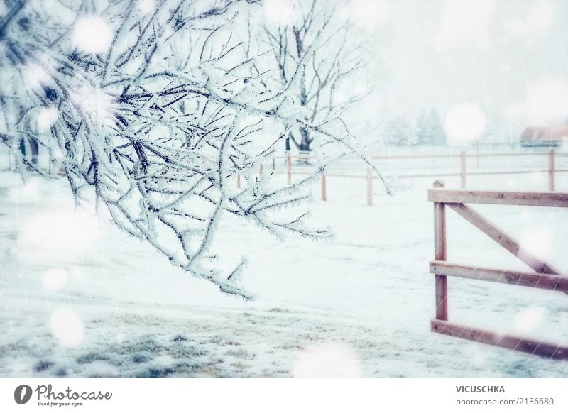 Winter Landschaft mit gefrorenen Bäumen, Schnee und Holzzaun Lifestyle Garten Weihnachten & Advent Natur Schönes Wetter Park Frost Winterstimmung Zaun Dorf Tor