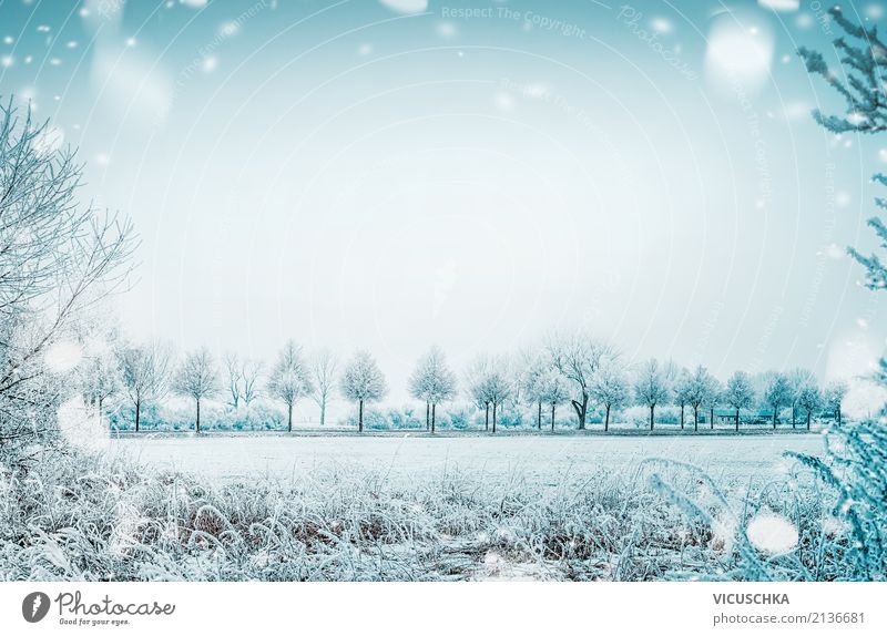 Winterlandschaft mit Schnee Lifestyle Ferien & Urlaub & Reisen Garten Weihnachten & Advent Natur Landschaft Schönes Wetter Baum Sträucher Park Wiese Feld