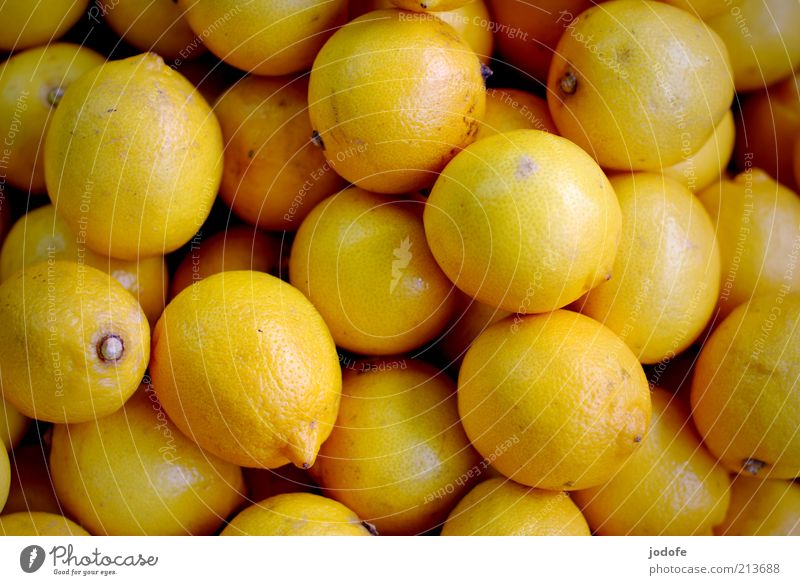 Zitronen Lebensmittel Frucht gelb exotisch viele mehrere Farbfoto mehrfarbig Außenaufnahme Menschenleer Tag Licht Schwache Tiefenschärfe Vogelperspektive sauer