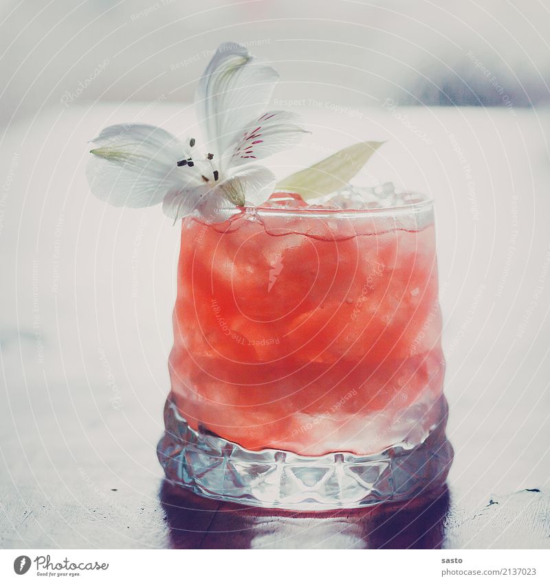 Summerdrink Getränk Erfrischungsgetränk Mocktail Glas ästhetisch elegant exotisch Flüssigkeit kalt süß rosa weiß Zufriedenheit Ferien & Urlaub & Reisen Melonen