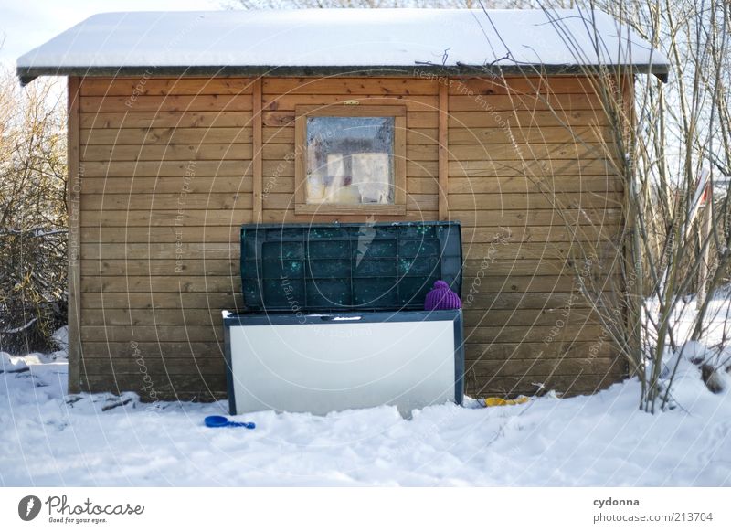 Das perfekte* Versteck Umwelt Natur Winter Schnee Garten Hütte kalt Kindheit Kreativität Mütze Kiste Farbfoto Außenaufnahme Detailaufnahme Menschenleer Tag