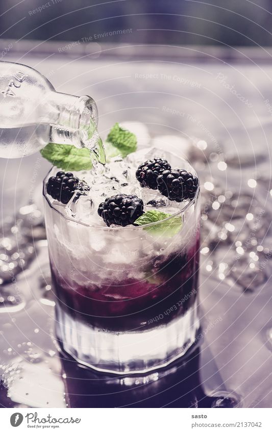 Brombeer-Mocktail Getränk Erfrischungsgetränk Flasche Glas Vorfreude Brombeeren Minzeblatt kalt Eis eingießen alkoholfrei Sommer Feierabend fruchtig Tonic