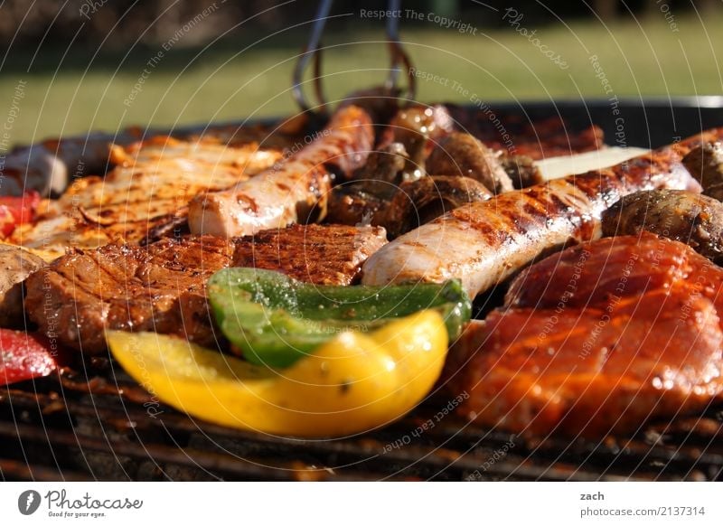 Sommer - Endspurt Lebensmittel Fleisch Kräuter & Gewürze Schweinefleisch Rindfleisch Steak Schnitzel Ernährung Gemüse Paprika Wurstwaren Bratwurst Abendessen