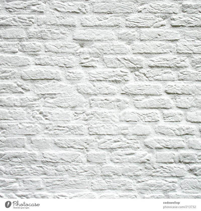 x, y und z = 0,333 Mauer Wand Backstein Sauberkeit weiß ruhig Reinlichkeit Reinheit Renoviert bemalt minimalistisch unschuldig neutral Farbfoto Gedeckte Farben