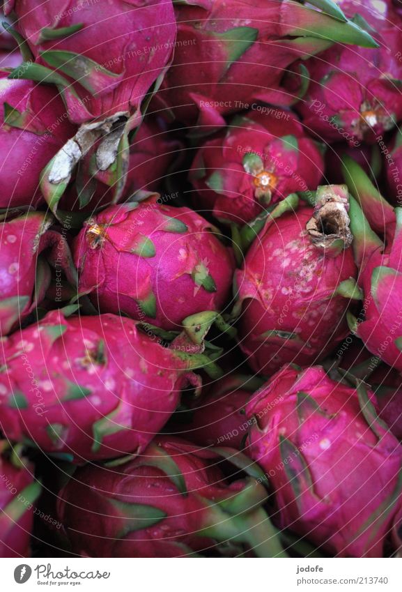 Pitahaya Lebensmittel Frucht exotisch violett rosa Drachenfrucht viele mehrere mehrfarbig knallig Farbfoto Außenaufnahme Menschenleer Tag Licht Schatten