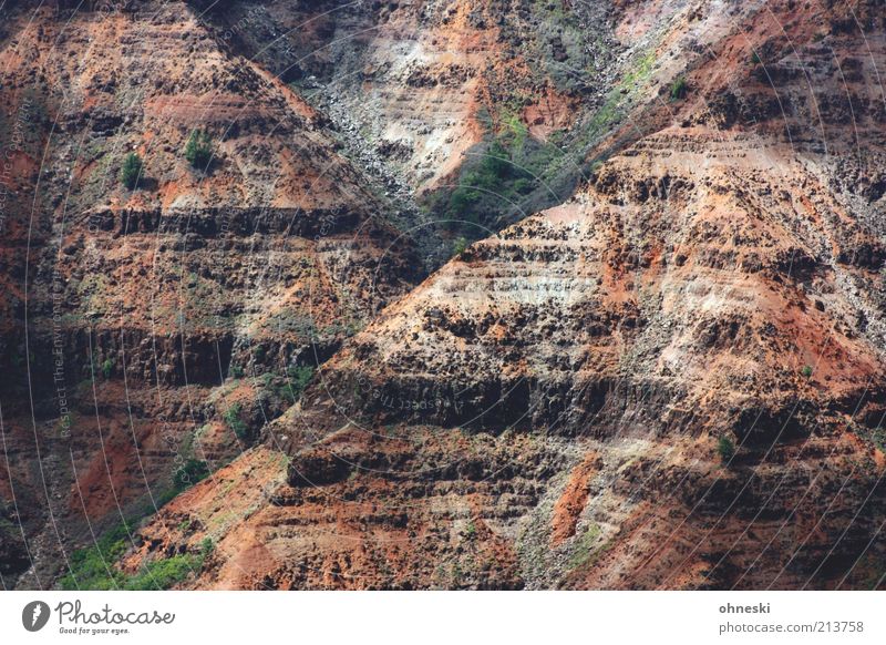 Y Landschaft Urelemente Erde Felsen Schlucht Waimea Canyon Natur ursprünglich Farbfoto Außenaufnahme rot braun