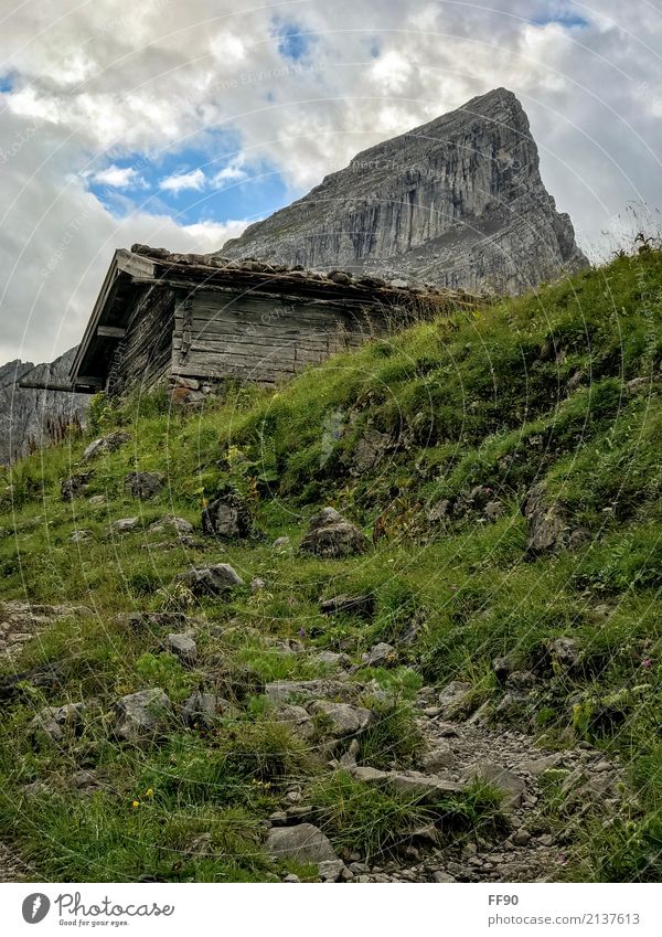 Aufstieg wandern Umwelt Natur Landschaft Pflanze Wolken Sommer Gras Wiese Felsen Alpen Berge u. Gebirge Watzmann Gipfel Hütte atmen Erholung genießen alt