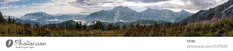 Alpenpanorama Freizeit & Hobby Ferien & Urlaub & Reisen Tourismus Ausflug Abenteuer Ferne Sommer Berge u. Gebirge wandern Umwelt Natur Landschaft Pflanze Tier