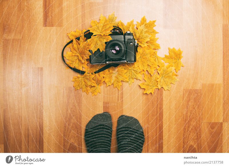 Füße vor einer analogen Kamera und Herbstlaub Lifestyle Freizeit & Hobby Fotokamera Fotografie Mensch Fuß 1 18-30 Jahre Jugendliche Erwachsene Blatt Strümpfe