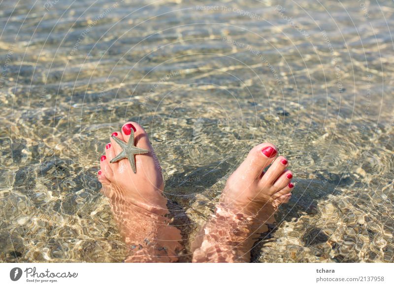 Sommer entspannen Design exotisch Nagellack Erholung Ferien & Urlaub & Reisen Strand Meer Dekoration & Verzierung Tapete Frau Erwachsene Fuß Natur Sand